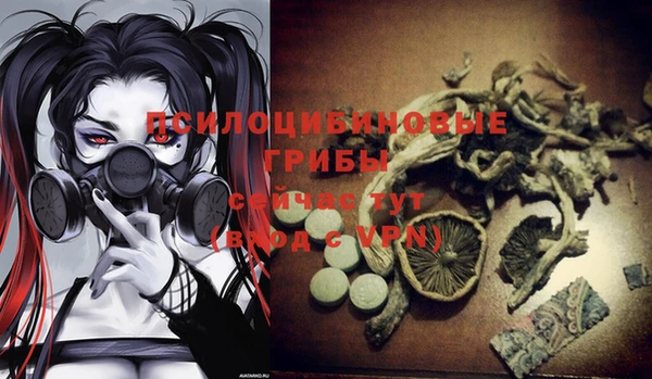 гидропоника Лагань