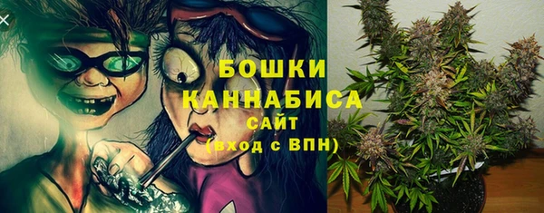 прущие грибы Ладушкин