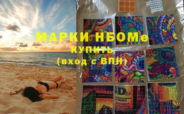 трава Ессентукская