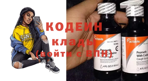 прущие грибы Ладушкин