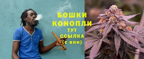 мдпв Кулебаки