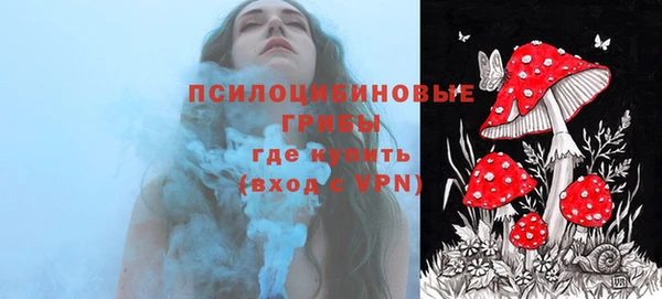 прущие грибы Ладушкин