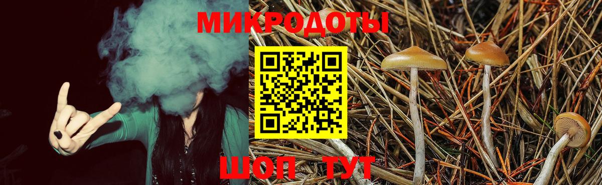 Галлюциногенные грибы Psilocybine cubensis Ноябрьск