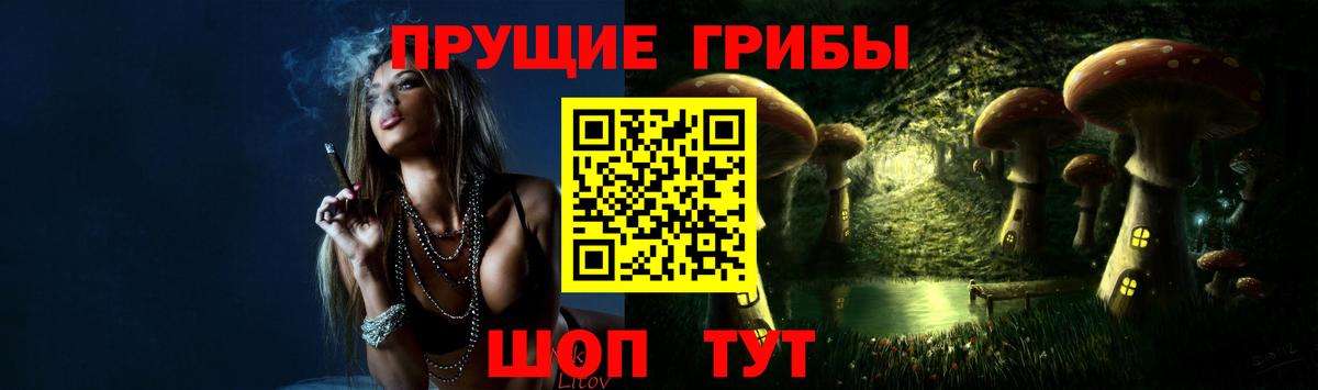 дарнет шоп  Псилоцибиновые грибы мухоморы  Вход с VPN  Ноябрьск  Псилоцибиновые грибы Psilocybe 