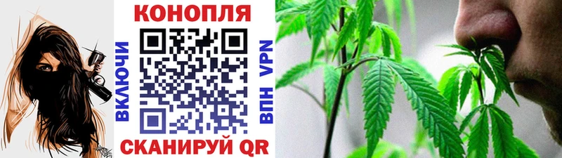 Каннабис гибрид цены наркотик Ноябрьск