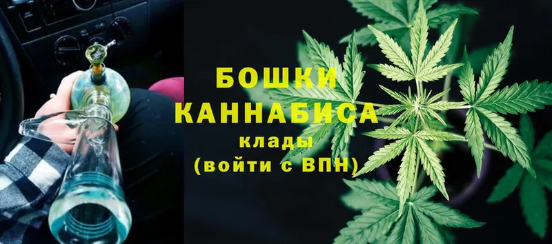 как найти закладки  Ноябрьск  Шишки марихуана THC 21% 